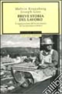 Breve storia del lavoro. L'organizzazione del lavoro umano nel suo processo evolutivo libro