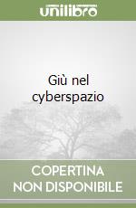 Giù nel cyberspazio libro