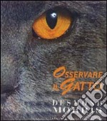 Osservare il gatto libro