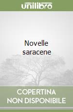 Novelle saracene libro