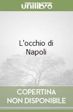 L'occhio di Napoli libro