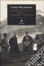 Storia politica della grande guerra 1915-1918 libro usato