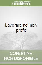 Lavorare nel non profit libro