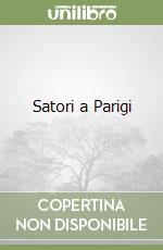 Satori a Parigi libro