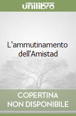 L'ammutinamento dell'Amistad libro