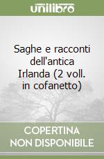 Saghe e racconti dell'antica Irlanda (2 voll. in cofanetto) libro