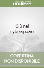 Giù nel cyberspazio