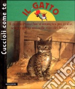 Il gatto libro