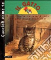 Il gatto libro