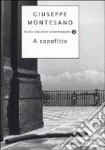 A capofitto libro