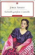 Gabriella garofano e cannella libro