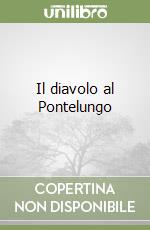 Il diavolo al Pontelungo libro