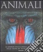 Animali libro