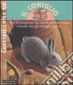 Il coniglio libro