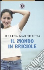 Il mondo in briciole libro