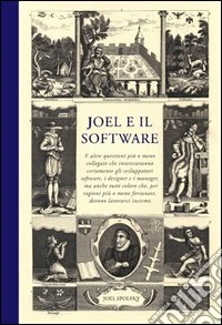 Joel e il software libro