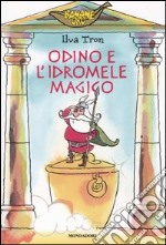 Odino e l'idromele magico libro