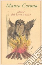 Storie del bosco antico libro