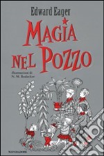 Magia nel pozzo libro