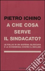 A che cosa serve il sindacato. Le follie di un sistema bloccato e la scommessa contro il declino libro