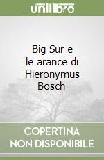 Big Sur e le arance di Hieronymus Bosch libro