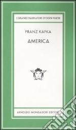 America. Ediz. limitata libro