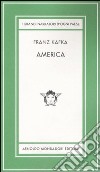 America. Ediz. limitata libro