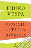 Viaggio in un'Italia diversa libro