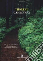 Camminare libro