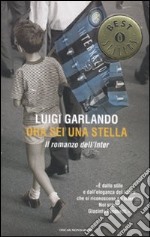 Ora sei una stella. Il romanzo dell'Inter libro