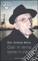 Così in terra, come in cielo libro