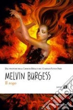 Il rogo libro