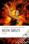 Il rogo libro