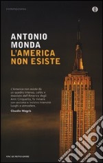 L'America non esiste libro