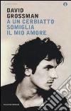 A un cerbiatto somiglia il mio amore libro