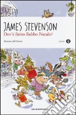 Dov'è finito Babbo Natale? libro