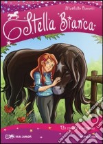 Un cavallo a sorpresa. Stella Bianca. Vol. 1 libro