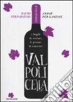 Valpolicella. Andar per cantine. Winestories libro