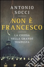 Non è Francesco. La Chiesa nella grande tempesta libro