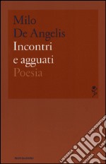 Incontri e agguati libro