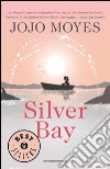 Silver Bay libro