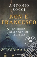 Non è Francesco. La Chiesa nella grande tempesta libro