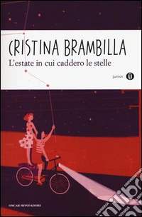 L'estate in cui caddero le stelle libro