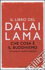 Che cosa è il buddhismo. Un maestro e molte tradizioni libro