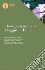 Viaggio in Italia libro