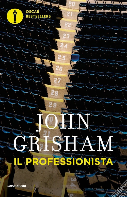 Il professionista