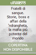 Fratelli di sangue. Storie, boss e affari della 'ndrangheta, la mafia più potente del mondo libro