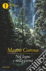 Nel legno e nella pietra libro