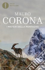 I misteri della montagna libro