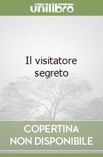 Il visitatore segreto